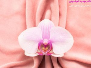 هزینه لابیاپلاستی