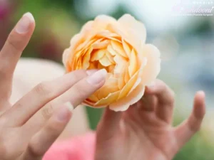 تاثیر لابیاپلاستی بر میل جنسی