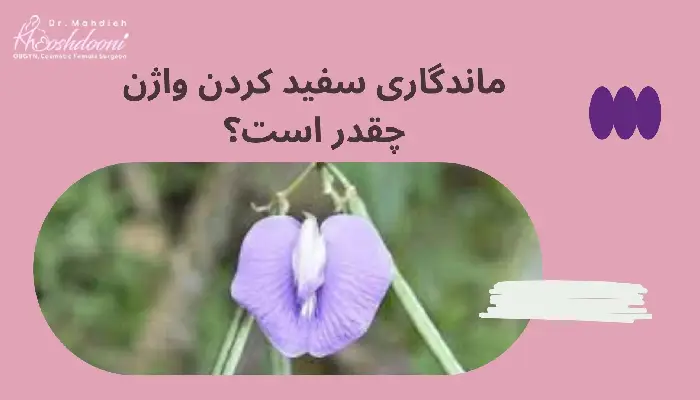 ماندگاری سفید کردن واژن