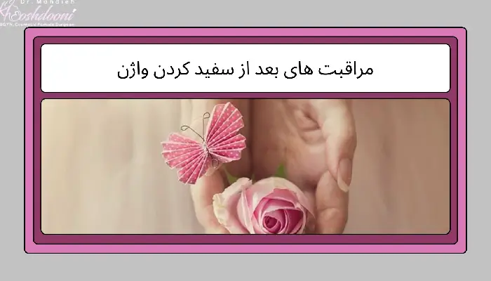 مراقبت های بعد از سفید کردن واژن